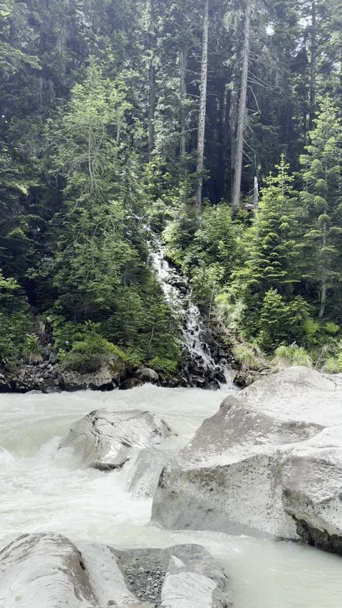 Vertical fast mountain river with stream, pine forest, Georgia Stock Footage 345966597