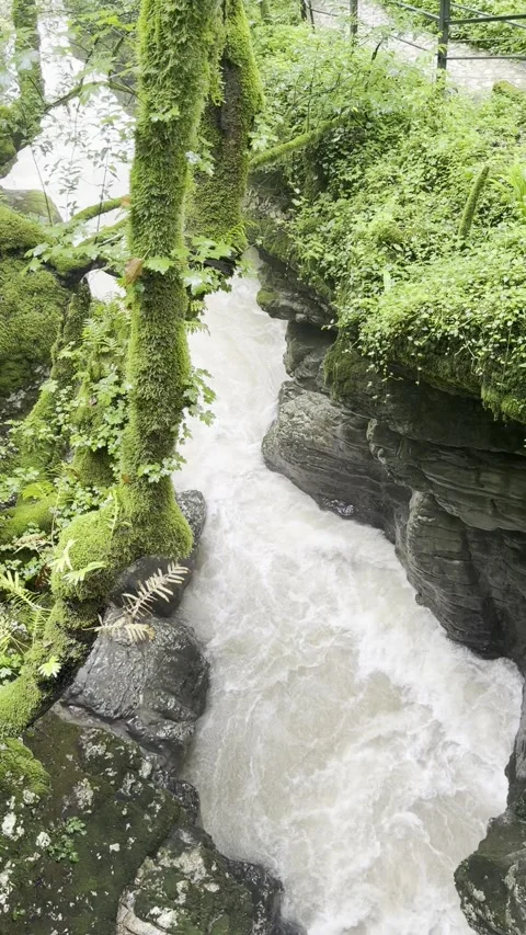 Vertical fast river flowing through mossy rocky gorge, Georgia Stock Footage 345967925