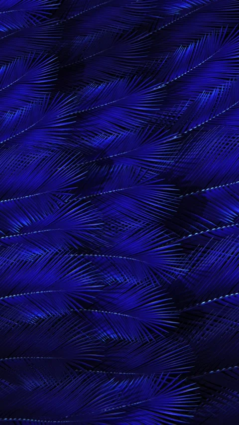 Vertical Feathers of Blue Flock Together 4K Loop Video stock 270330645
