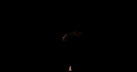 Vertical Fire Plume Atmospheric Layer On Black Screen Видео 333728649