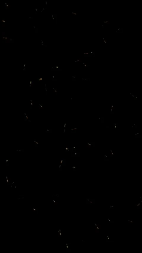 Vertical Firefly Tadpoles in Flight 4K Loop Stock Footage 271202908