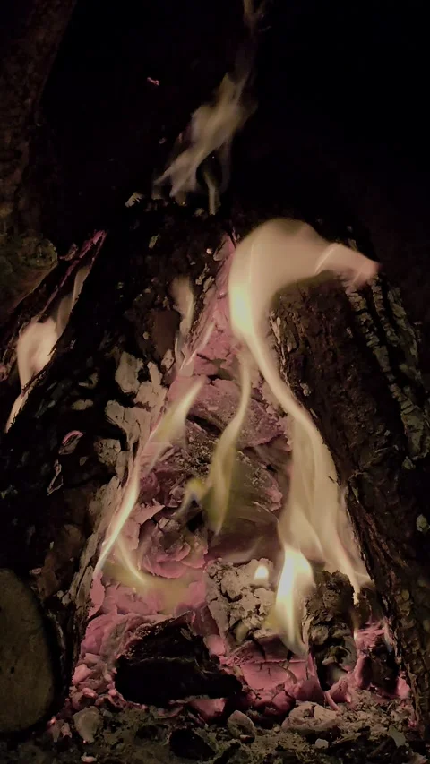 Vertical Fireplace Flames and Glowing Logs in Cozy Indoor Setting – 4K 60fps Stock Footage 311034598