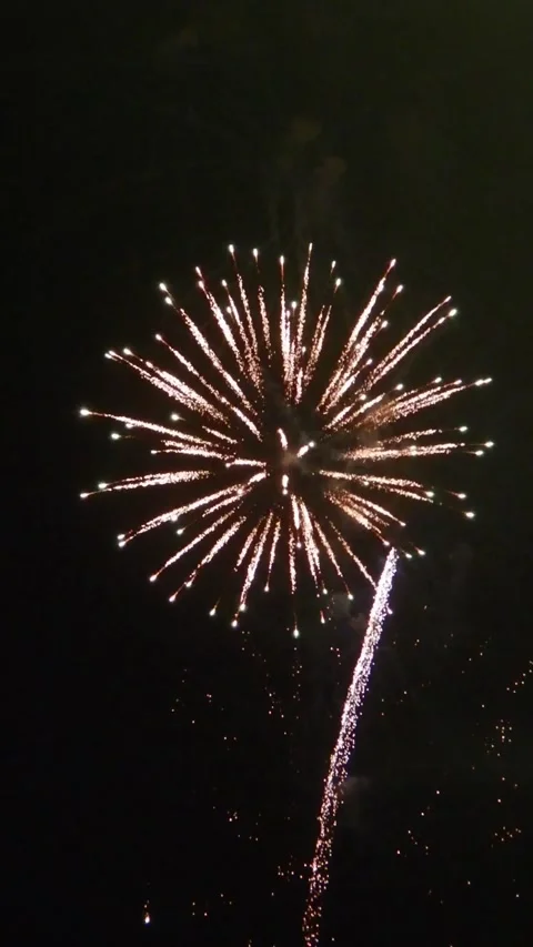 Vertical Fireworks Exploding Against a Night Sky Stock Footage 246506813