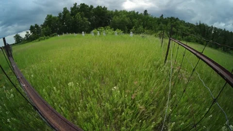 Vertical fish-eye time-lapse of wispy white clouds moving across the sky in Stock Footage 339733265