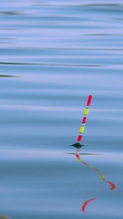 Vertical fishing float bobbing on calm water surface Видео 345169829