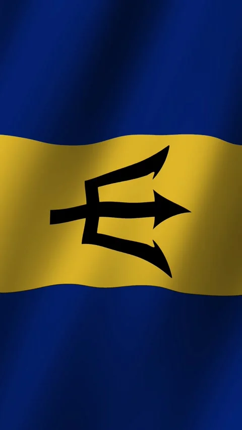 Vertical Flag of Barbados waving animation, Vertical Barbados Flag footage v Stock Footage 282270132
