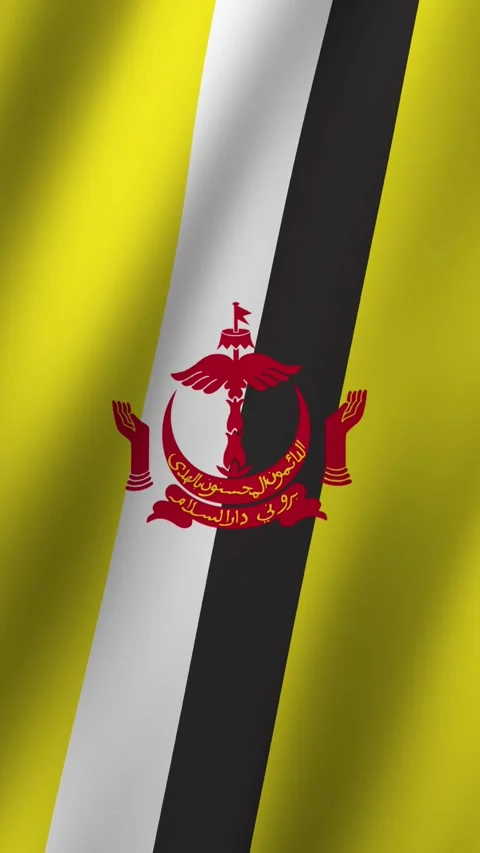 Vertical Flag of Brunei waving animation, Vertical Brunei Flag footage video Stock Footage 294951463