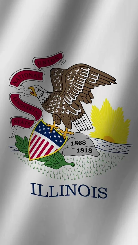 Vertical Flag of Illinois waving animation, Vertical Illinois Flag footage v Stock Footage 283274792