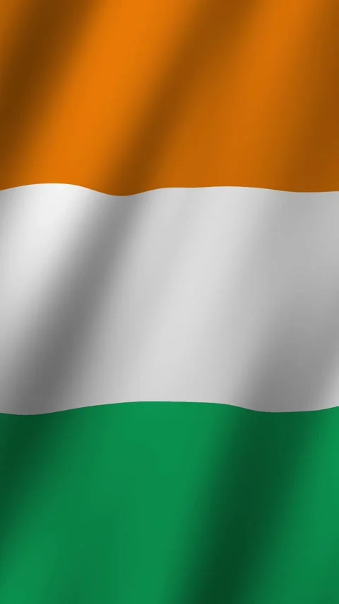 Vertical Flag of Ivory Coast waving animation, Vertical Ivory Coast Flag foo Vídeos de archivo 295085702