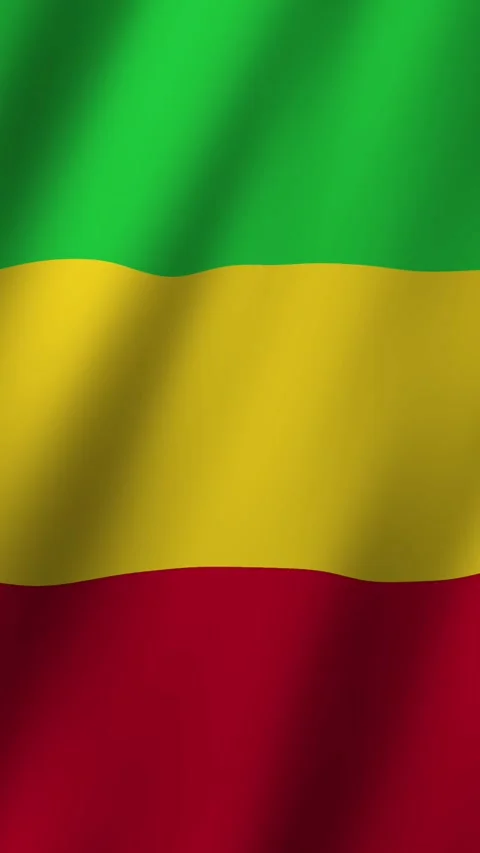 Vertical Flag of Mali waving animation, Vertical Mali Flag footage video wav Stock Footage 295004462
