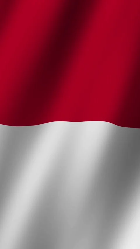 Vertical Flag of Monaco waving animation, Vertical Monaco Flag footage video Stock Footage 282687449