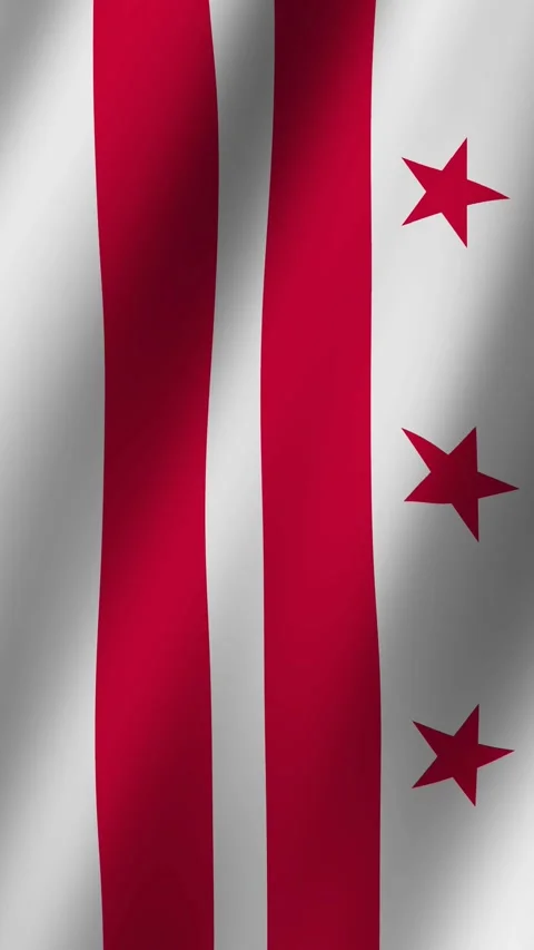 Vertical Flag of Washington, D.C. waving animation, Vertical Washington D.C. Stock Footage 283797108