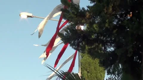 Vertical flags Stock Footage 10723716