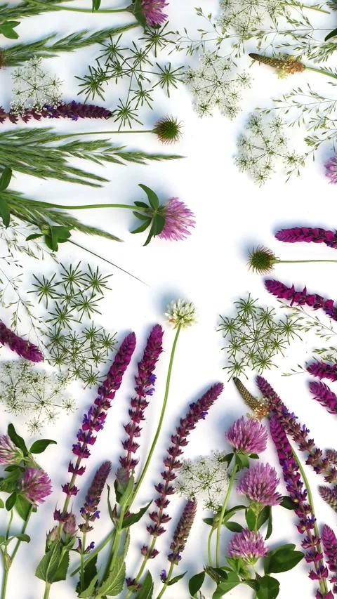 Vertical Flat Lay Of Wild Meadow Flowers Clover And Grasses 動画素材 343280065