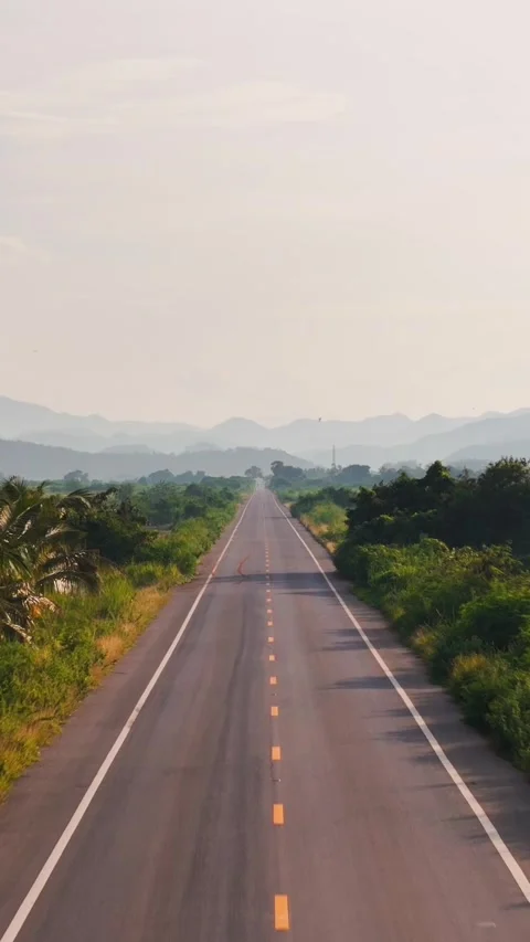 Vertical flight above asphalt Road Surrounded by Lush Green tropical forest and 스톡 동영상 319891935