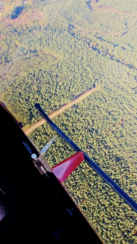 Vertical Flight Above Latvian Pine Forest Seen Through Light Aircraft Window Video stock 337571947