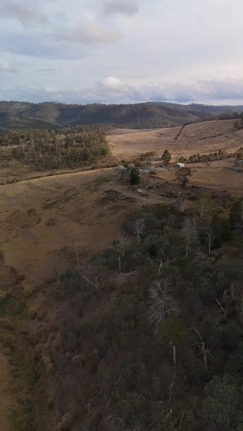 Vertical flight over a forested ridge toward a villa in rural Tasmania. Vídeo Stock 332542321
