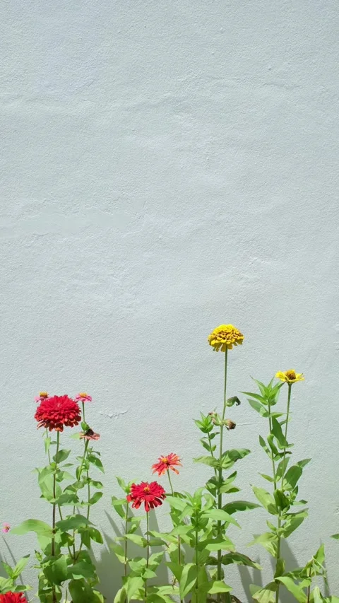 Vertical Floral Background with Copy Space for Seasonal Promotions Vídeos de archivo 337623737