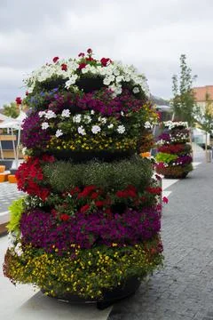 Vertical flower bed. Foto stock