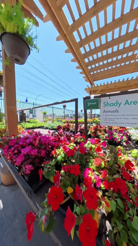 Vertical Flower Display and Garden Decor at Nursery Stock Footage 312884071