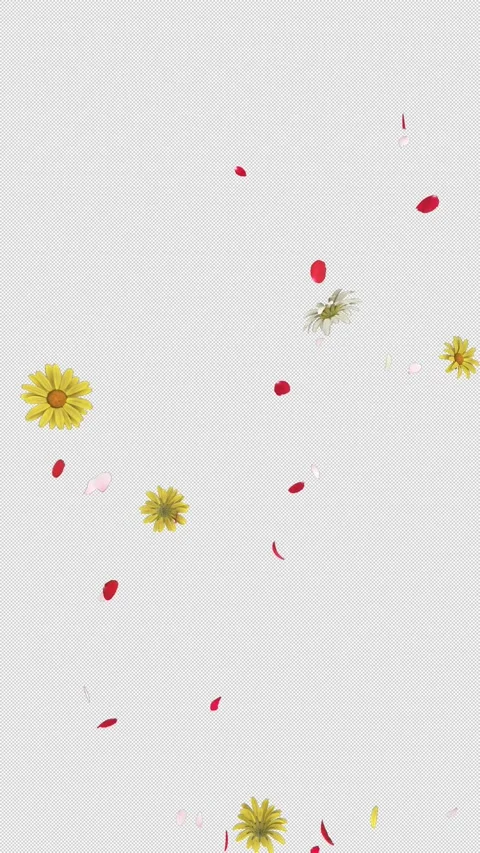 Vertical Flower Explosion 4 Pack Alpha Stock Footage 323429154