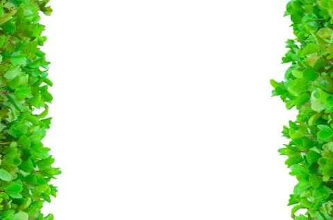 Vertical flower frame Stock Photos