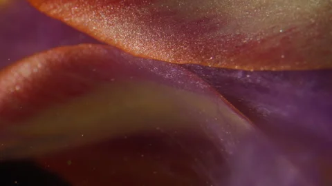 Vertical flower smoke ink drop explosion petal Stock Footage 341822906