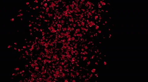 Vertical flying petals roses 3d animation Stock Footage 63439063