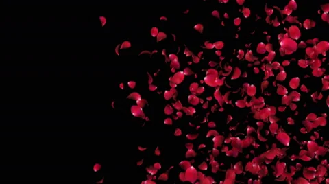 Vertical flying petals roses 3d animation Stock-Footage 63497237