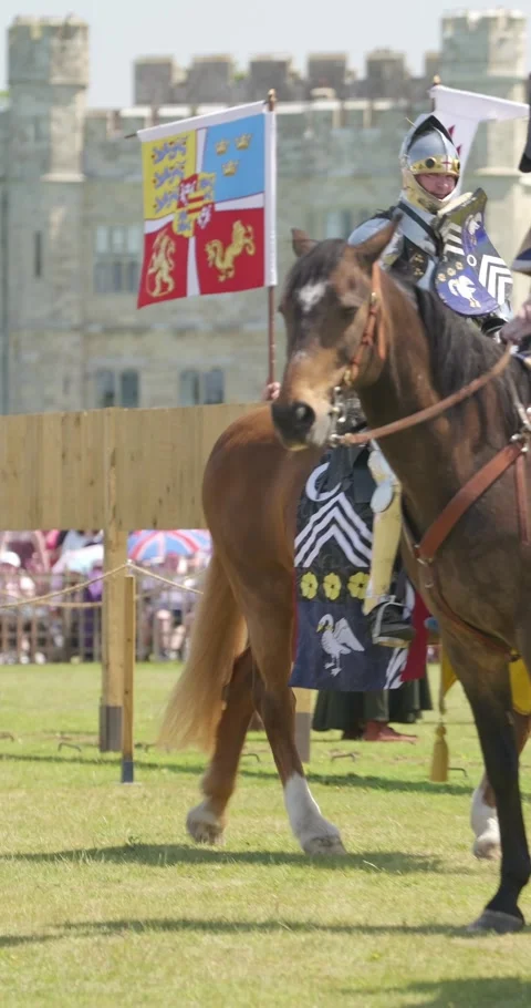 Vertical focus rack on knights lining up for medieval joust Stock Footage 340039744