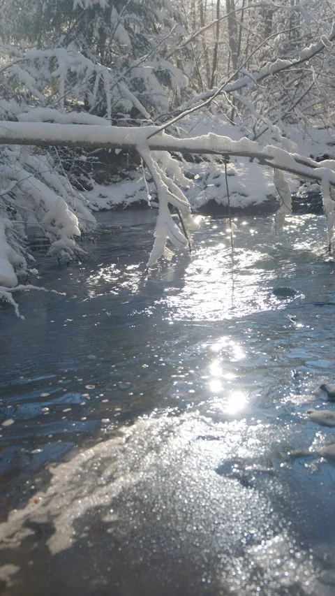Vertical footage of beautiful mountain river at sunny day Stock Footage 300944131