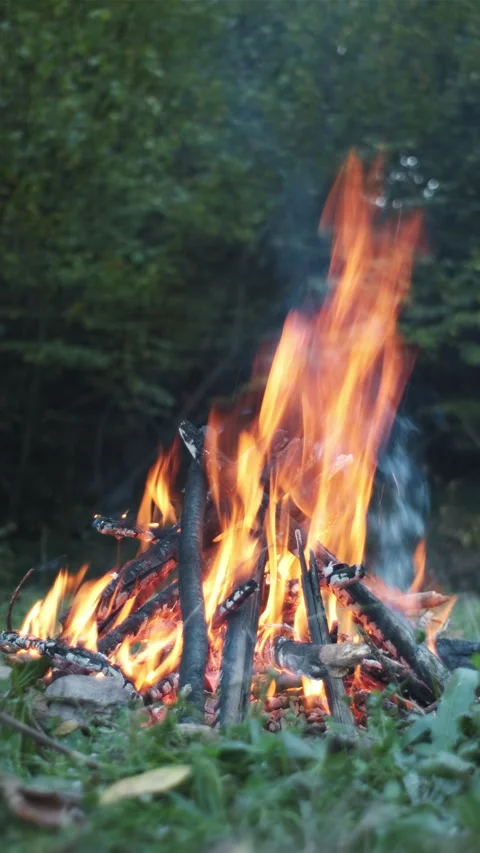 Vertical footage of campfire. Calm bonfire, burning old wood in autumn time Stock Footage 292114519
