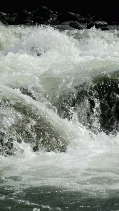 Vertical footage of a clear mountain river flowing rapidly through river rocks Stock Footage 320922534