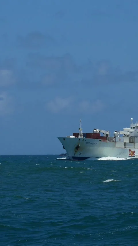 Vertical footage DOLE cargo container merchant ship Stock Footage 235125504