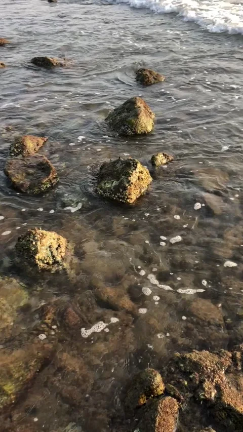 Vertical Footage of Dramatic Landscape 1 Stock Footage 237735508