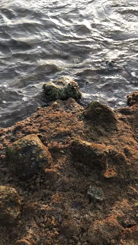 Vertical Footage of Dramatic Landscape 4 Stock Footage 237736084