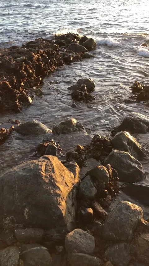 Vertical Footage of Dramatic Landscape 6 Stock Footage 238796892