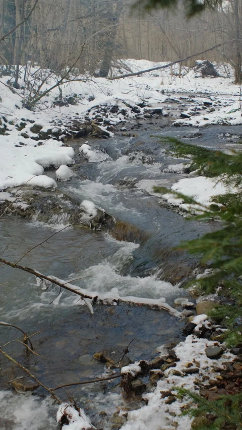 Vertical footage of fast mountain river in snow winter forest Stock Footage 297960834
