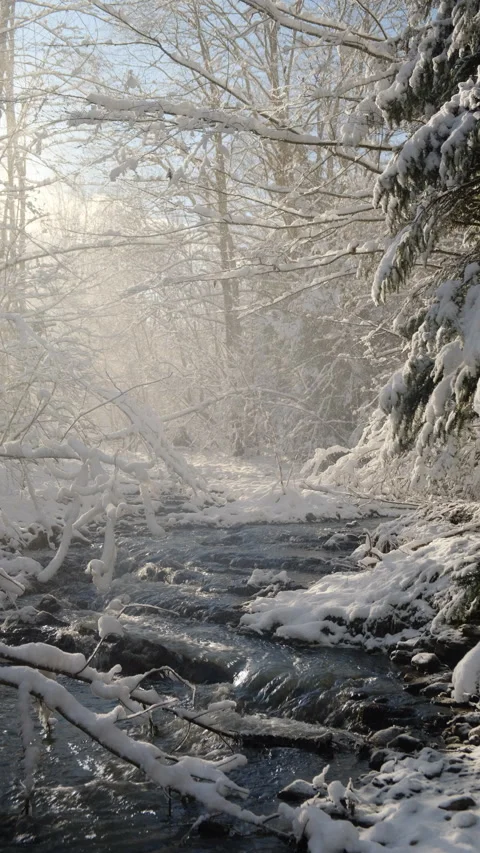 Vertical footage of fast mountain river in amazing snow winter forest Stock Footage 300942341
