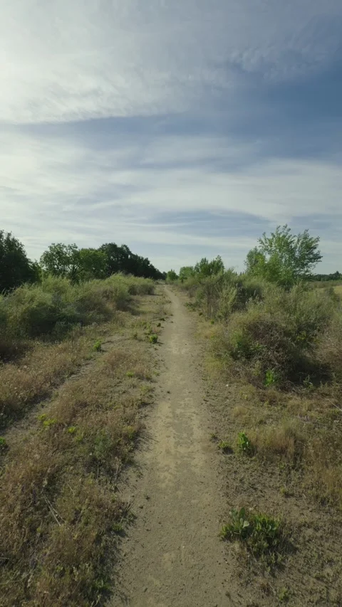 Vertical footage of a first person perspective walking down a dusty hiking trail 動画素材 335416730