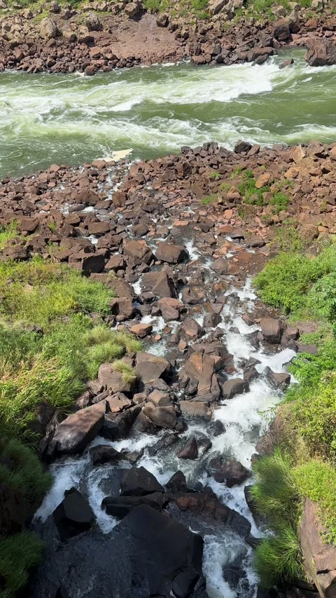 Vertical footage of a Fresh Mountain Stream Flowing 库存影片 334792905