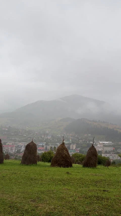Vertical footage of group of traditional haystack in stunning mist on the Stock Footage 285344979