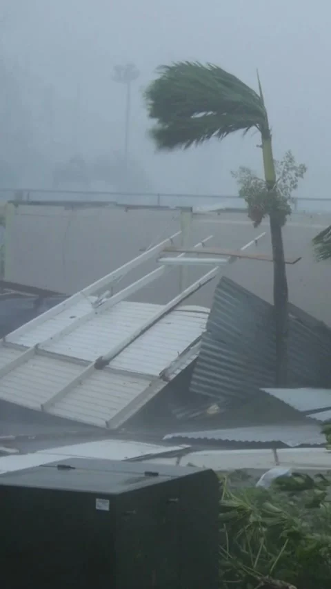 Vertical Footage hurricane winds Stock Footage 236275590