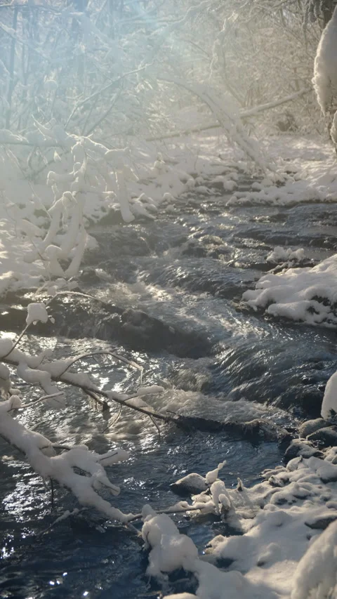 Vertical footage of ice river. Stream from Carpathians with ice-cold water Stock Footage 300942008