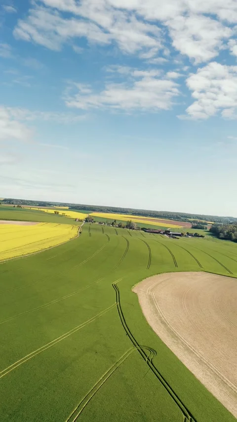 Vertical footage from inside the airplane cabin, showing yellow, green fields Stock Footage 330288477