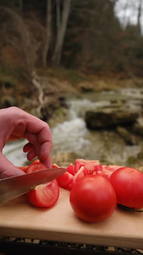 Vertical footage of male hands using knife cutting tomato on board near river Stock Footage 299702394