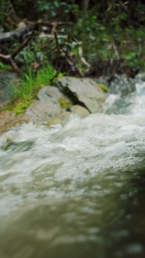 Vertical footage of mountain river runs down hill in early autumn Stock Footage 285409260