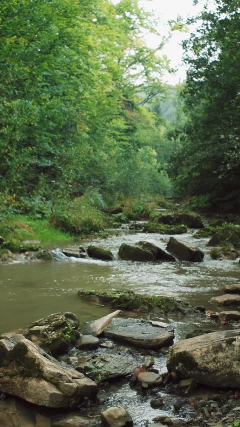 Vertical footage of mountain river water with stone rapids and splashes Stock Footage 285409353