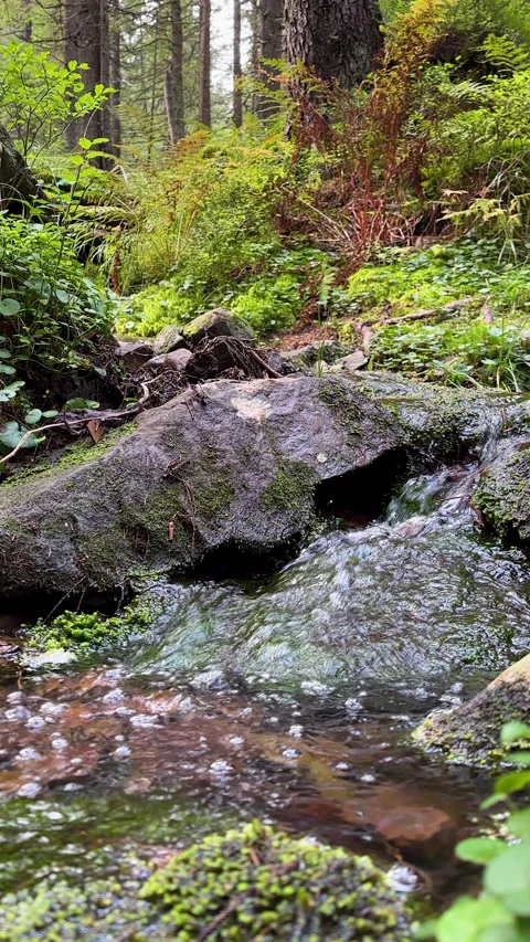 Vertical footage of mountain stream with crystal cold clear water. River Stock Footage 287456151