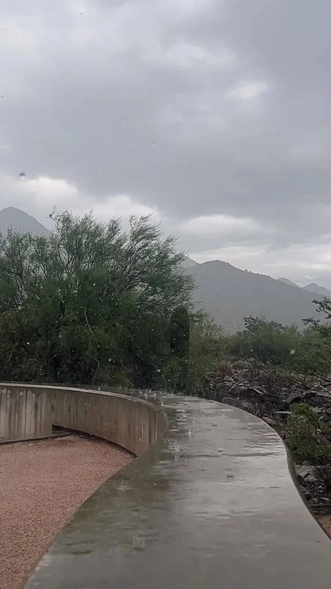 Vertical Footage Of Rain Falling During A Storm In The Arizona Desert Stock Footage 320019314